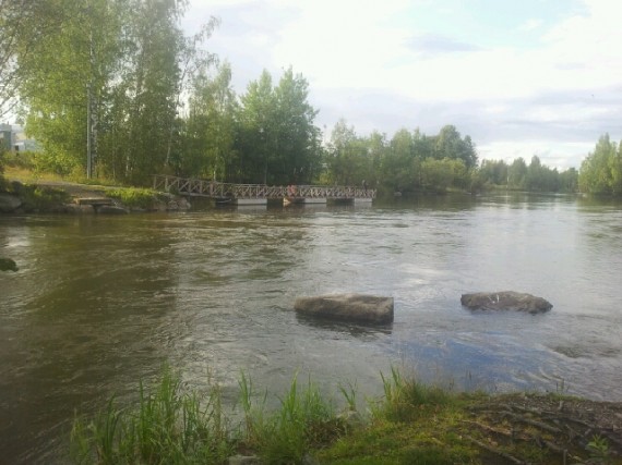 Kuokkalan iltakalastus 1 Kuokkalan iltakalastus 1